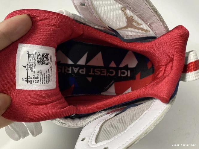 Jordan PSG 7 CZ0789-105 Air 0529